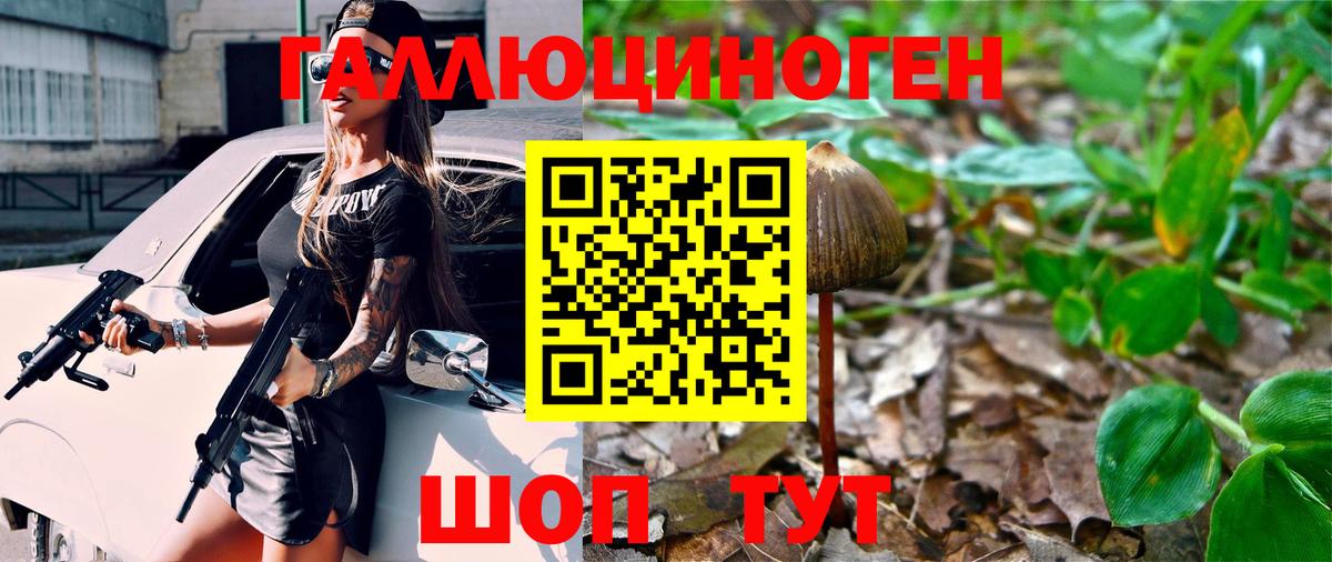 Галлюциногенные грибы GOLDEN TEACHER Ессентуки