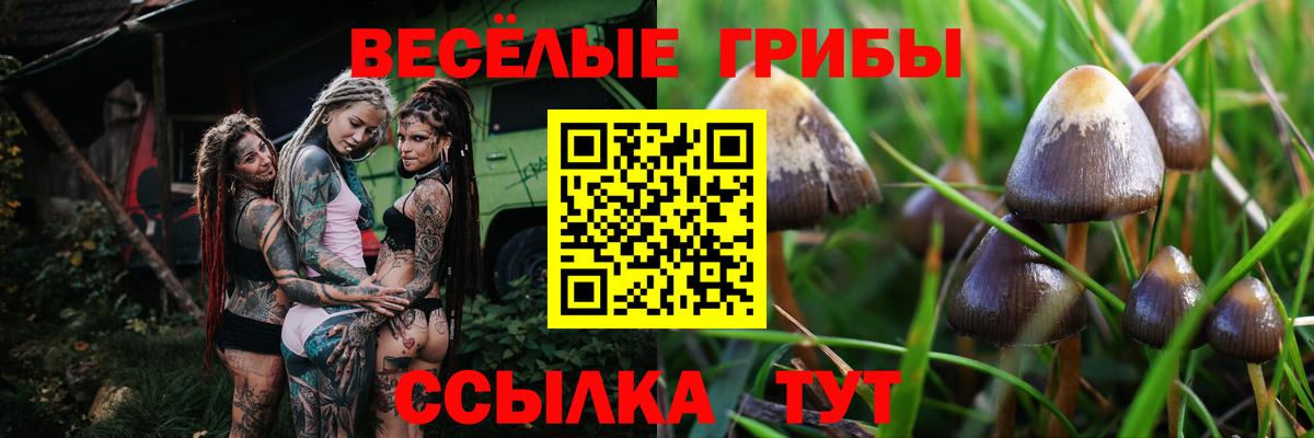 купить  сайты  Вход с VPN  Ессентуки  Псилоцибиновые грибы Psilocybe  Галлюциногенные грибы Magic Shrooms 